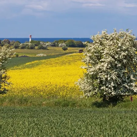 Mehler - * Heiligenhafen