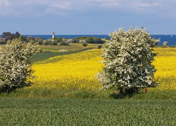 Mehler - * Heiligenhafen